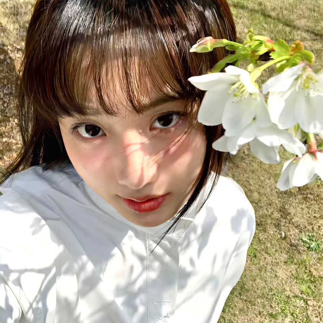 歌舞团的女人们