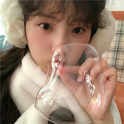 百日蔷薇