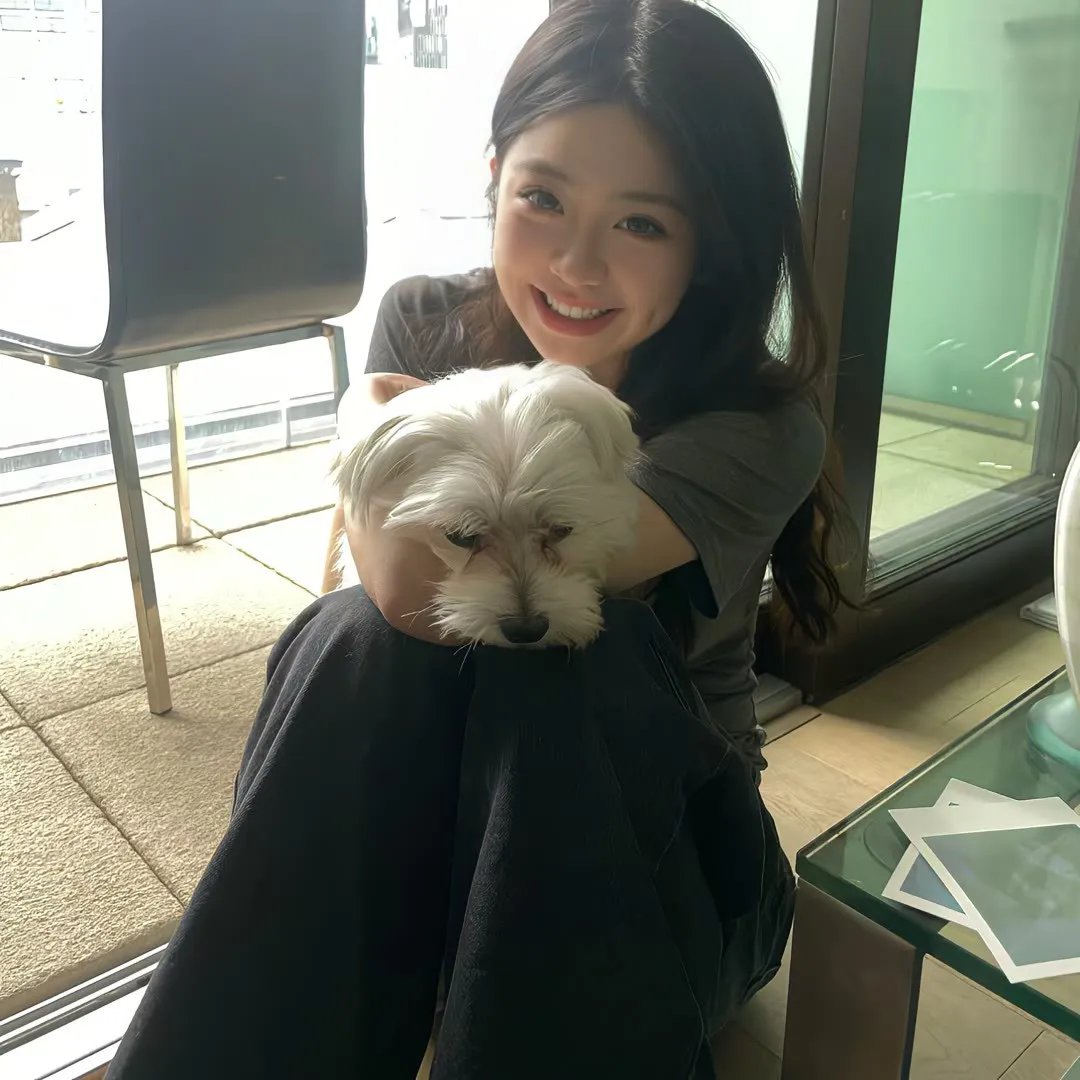 小鹿斑比：清算